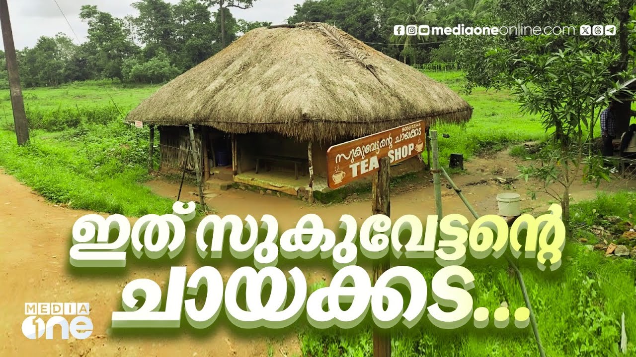കാടിന് നടുവിൽ ഒരു ചായക്കട...ഒരിക്കൽ വന്നവർ വീണ്ടും വരുന്നയിടം.. | SUKUVETTANTE CHAYAKKADA | WAYANAD