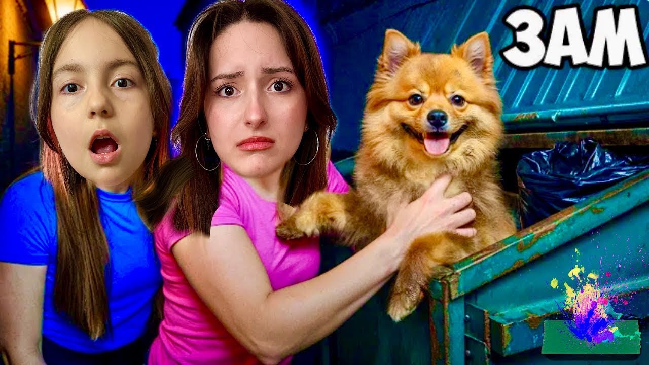 ÇÖP KONTEYNERİNDE TERK EDİLMİŞ KÖPEK BULDUK ZEYNEP HİRANUR 