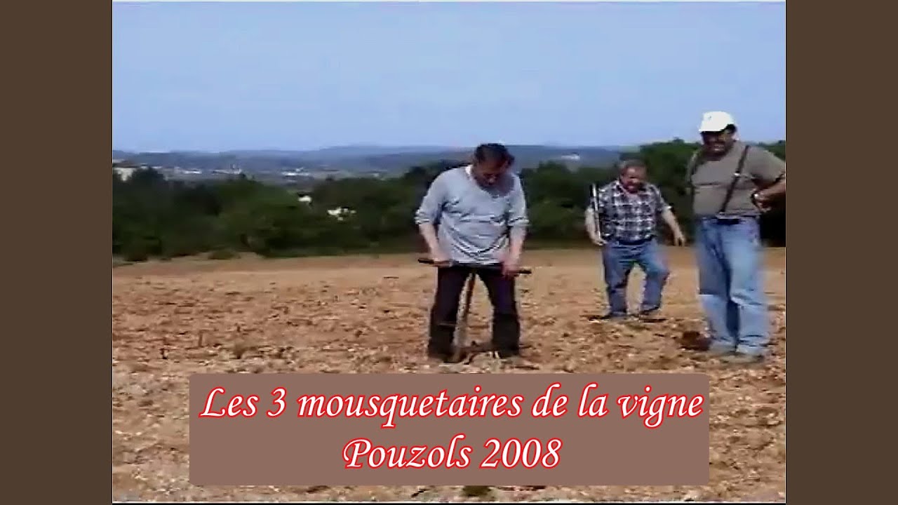 Plantation vigne au Mas Canta Cigales en  2008