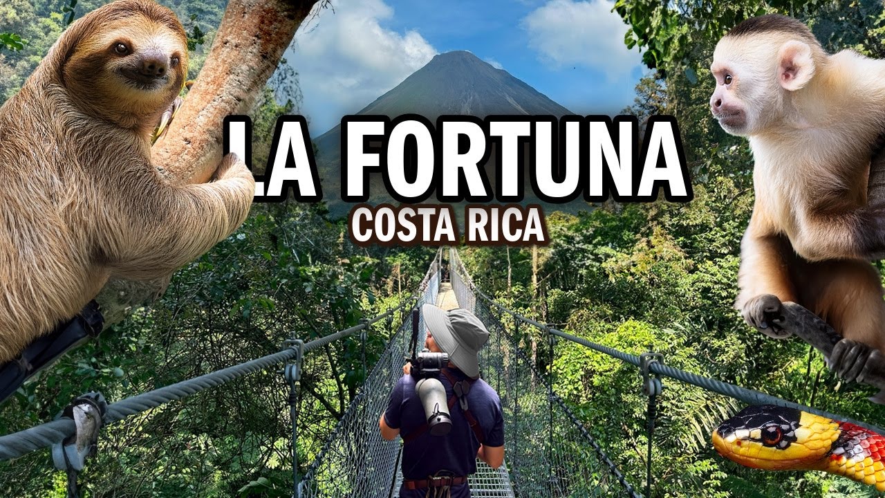 We found Sloths and Snakes in La Fortuna, Costa Rica! [4k|11.ai]