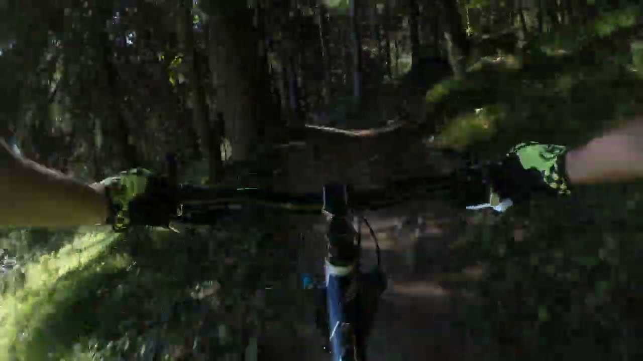 lisi osl trail kirchberg 2018