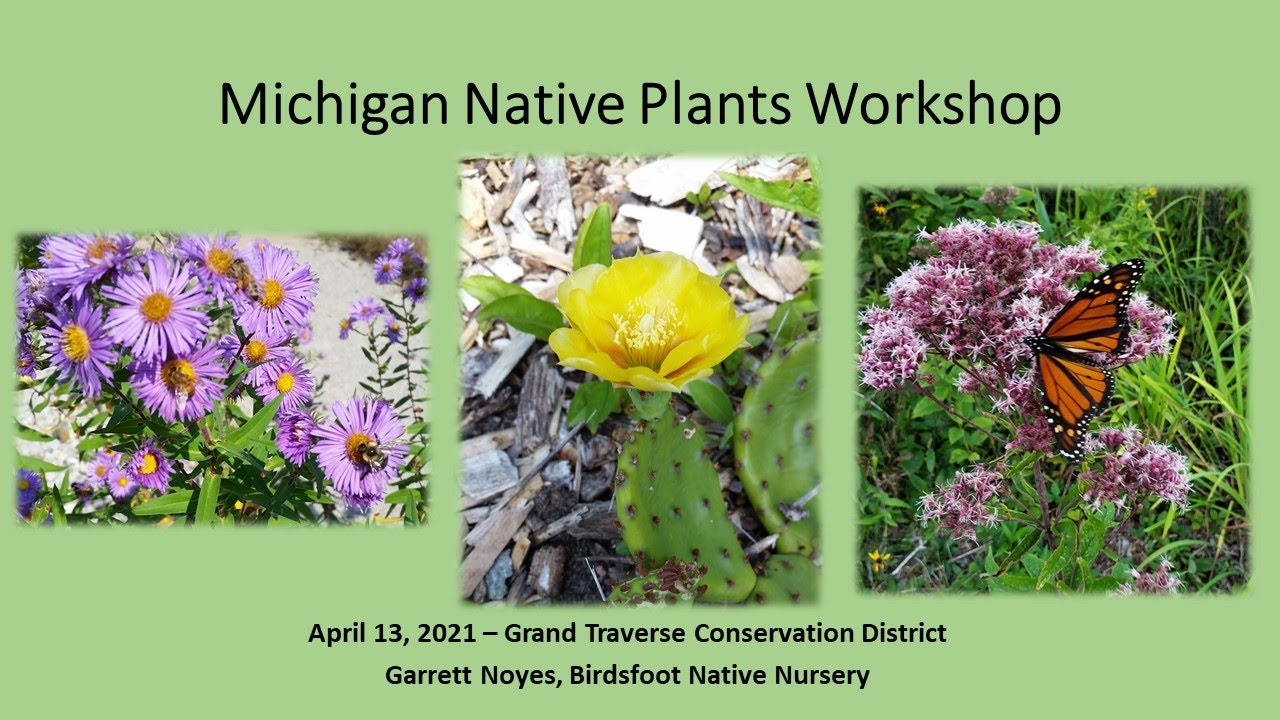 Native Plant Webinar 2021