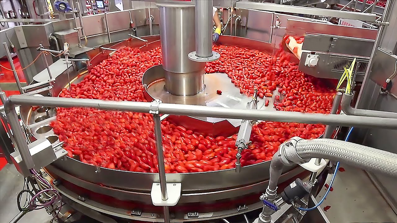 भोजन तैयार करने वाली ऐसी विचित्र मशीनें नहीं देखी होगी आपने पहले कभी || Food Industry machines