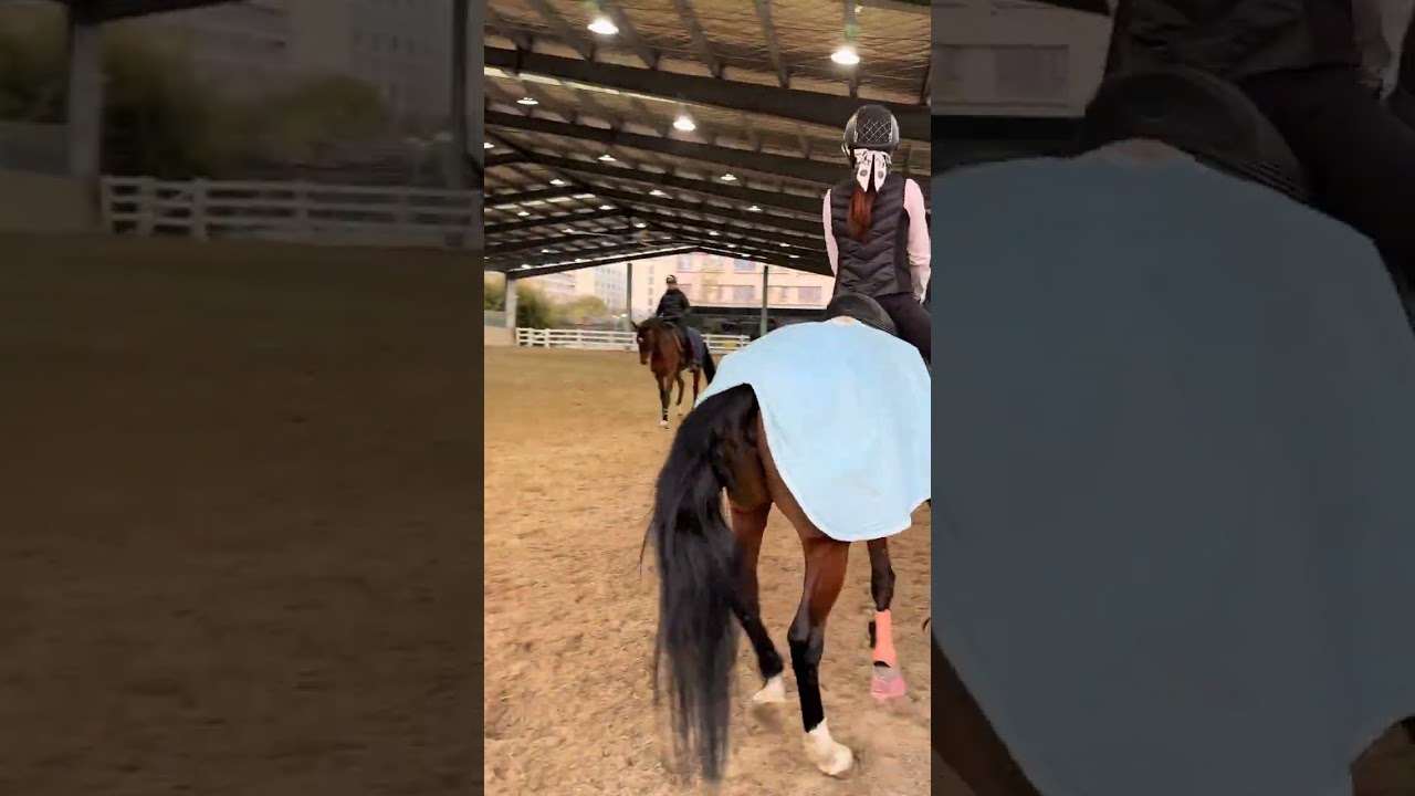 Contraction running dancing mini-program #The pianist on horseback#Equestrian#Feminine cha