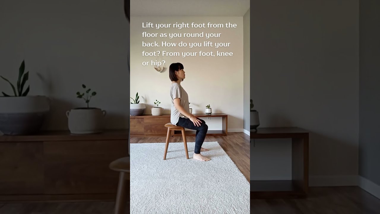 Low Back Pain Relief in 5 DAYS #1: Feldenkrais