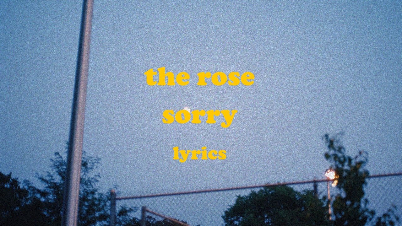 Sorry - The Rose (Lyrics)