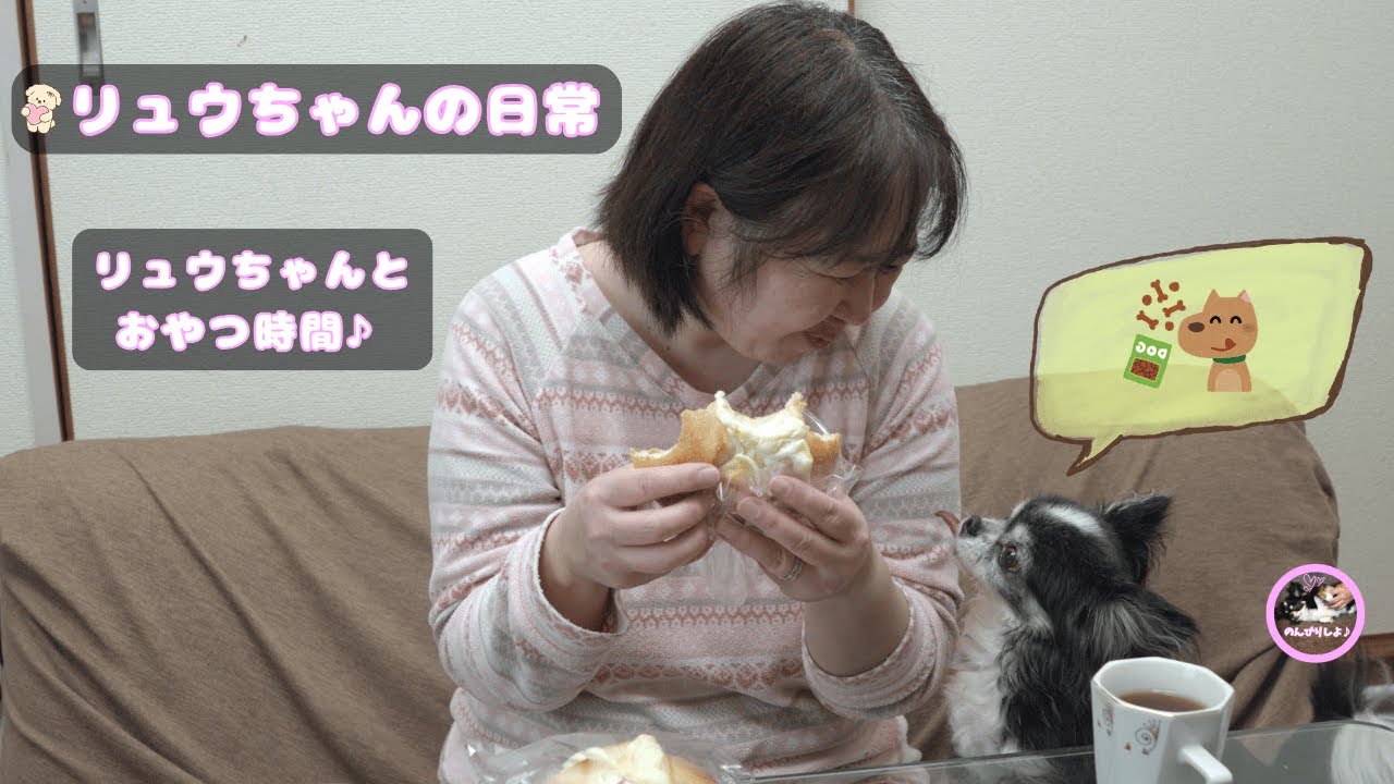 おやつ待ちの顔が反則すぎる…リュウちゃん☺️リュウちゃんのおやつ→遊び→まったり♪【リュウちゃんシリーズ＃26】