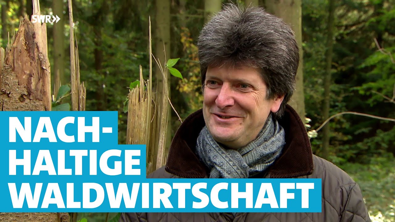 Wie Hermann Graf von Hatzfeldt seinen Privatwald ökologisch umbaut
