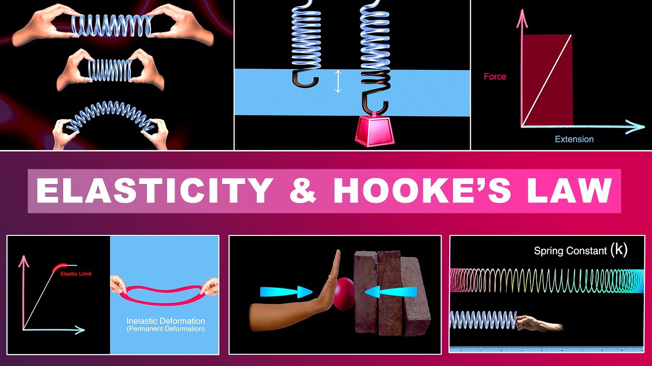 Elasticity & Hooke’s Law | Deformation | Force Extension Graphs | Spring Constant | Elastic Limit