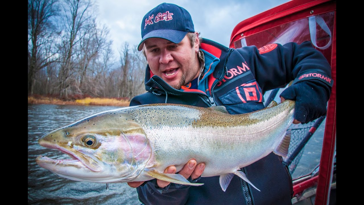 Hook Shots: Stone-Cold Michigan Steel