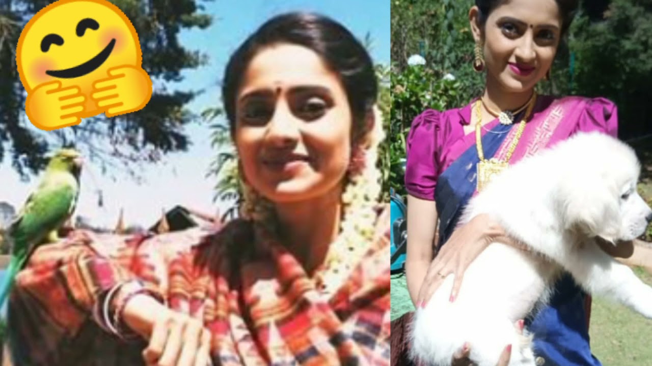 கிளியுடன் cute rowdy baby | sathya kodai diaries | sathya kodaikanal episode | sathya serial promo