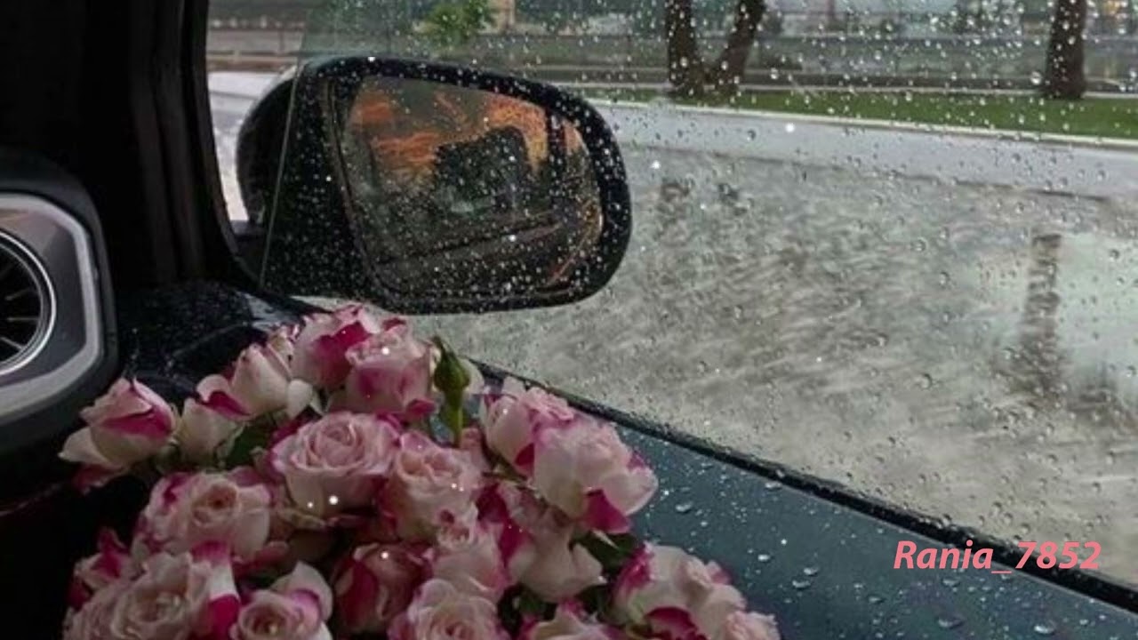 رباب   احتمال انسى حبك - جلسات خليجية