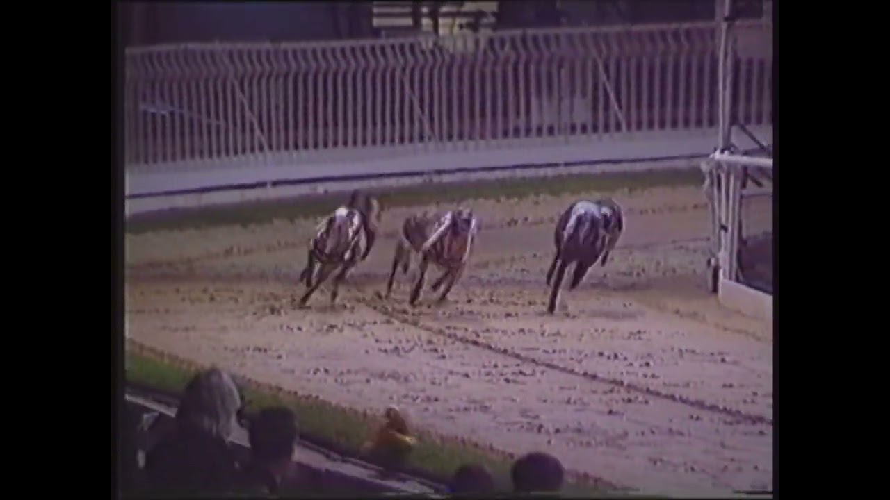 1999 GREAT RACES