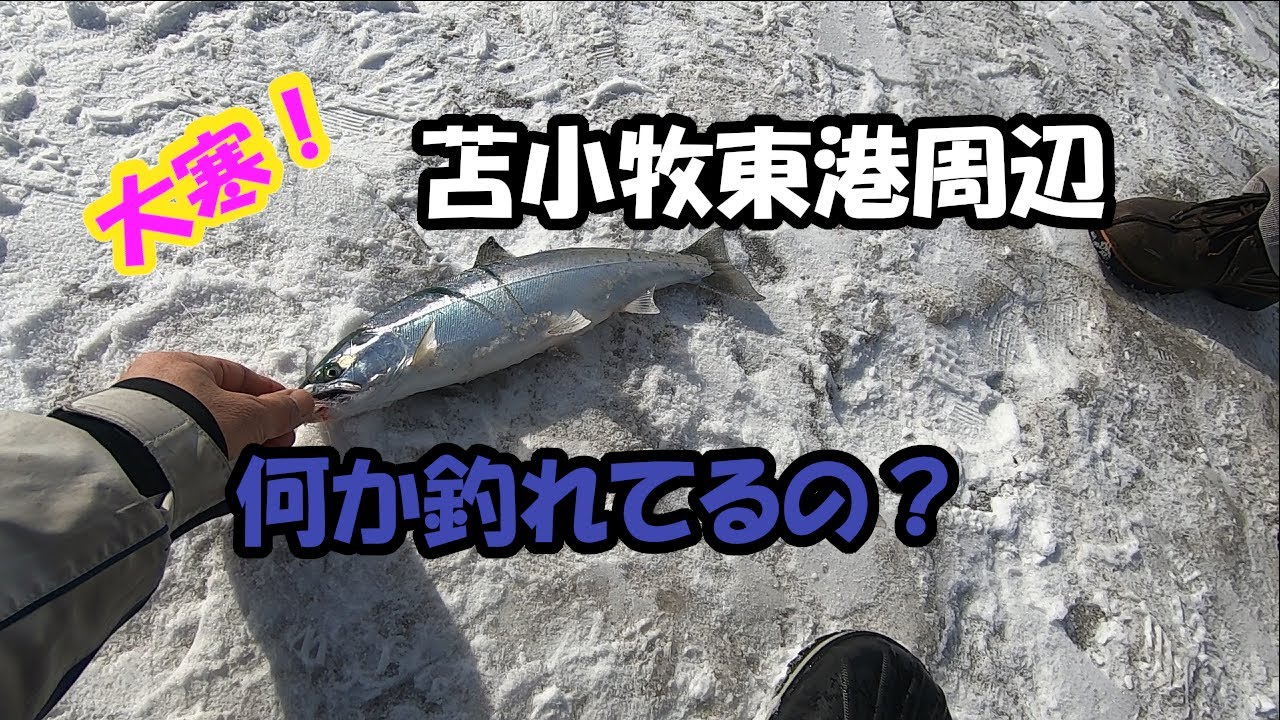 大寒の苫小牧東港