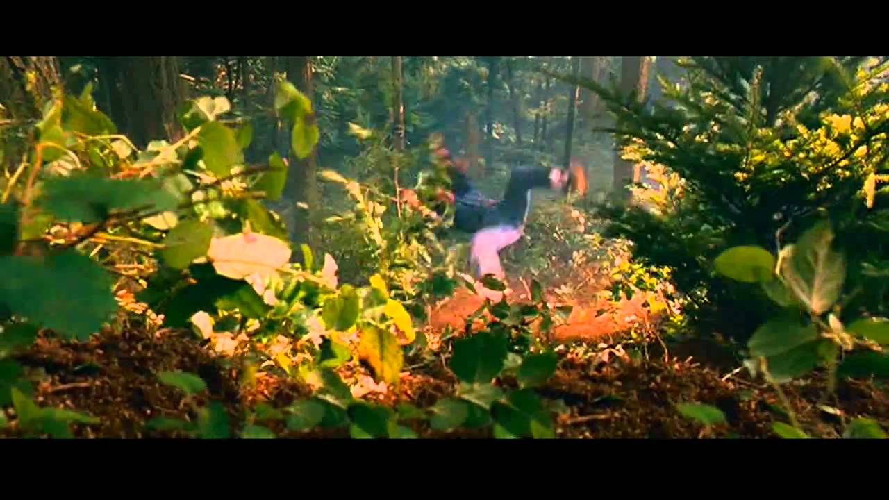 Hot Rod Fall Down Mountian