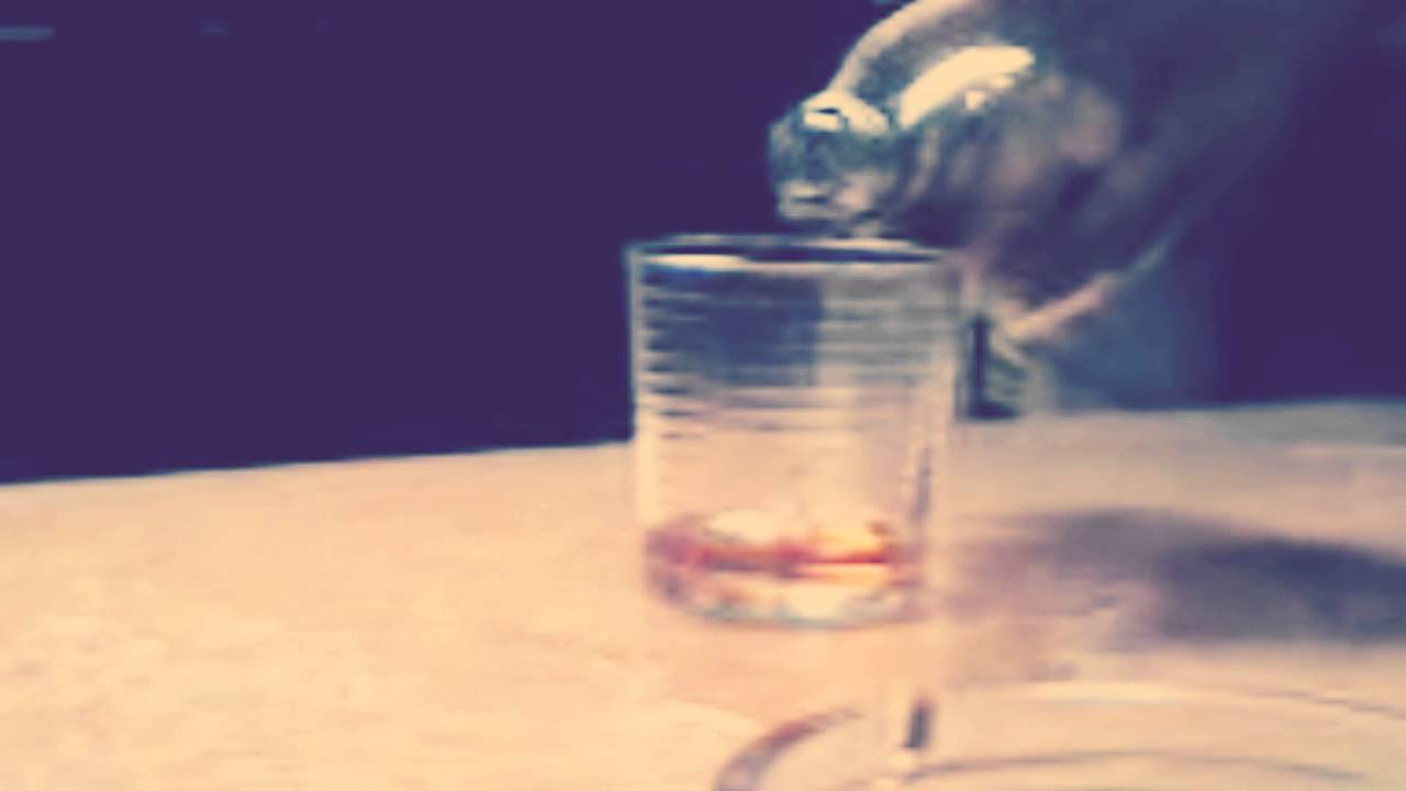 The Push Stars - Drunk is Better than Dead