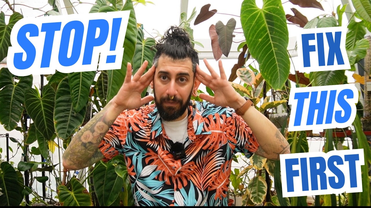🪴Humidity Isn’t Enough! The House Plant Secret You’re Ignoring 💨