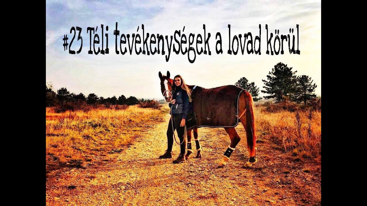 Téli tevékenységek a lovad körül