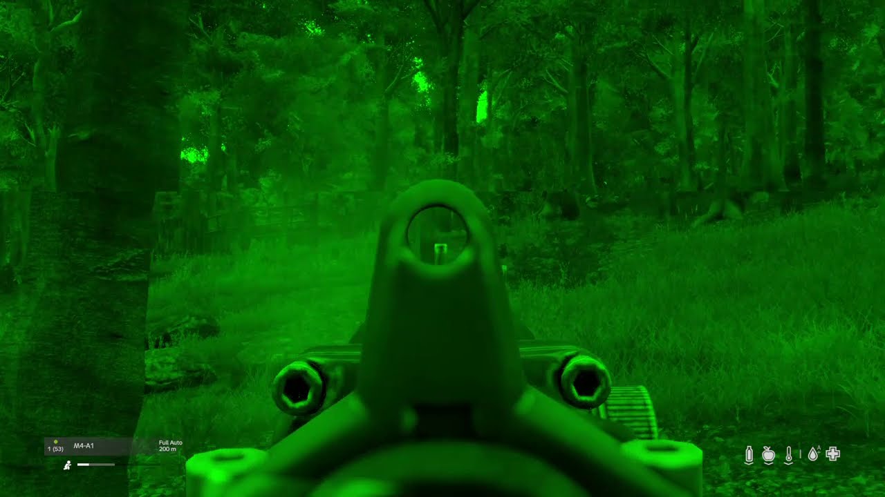 Night Vision Fight | DayZ PS4