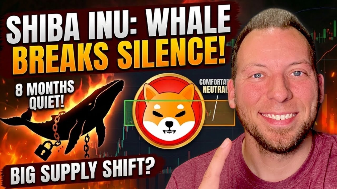 SHIBA INU &mdash; Комфортно нейтрально?! На цену это &laquo;пока&raquo; не повлияло! Кит прервал 8-месячное молчание!