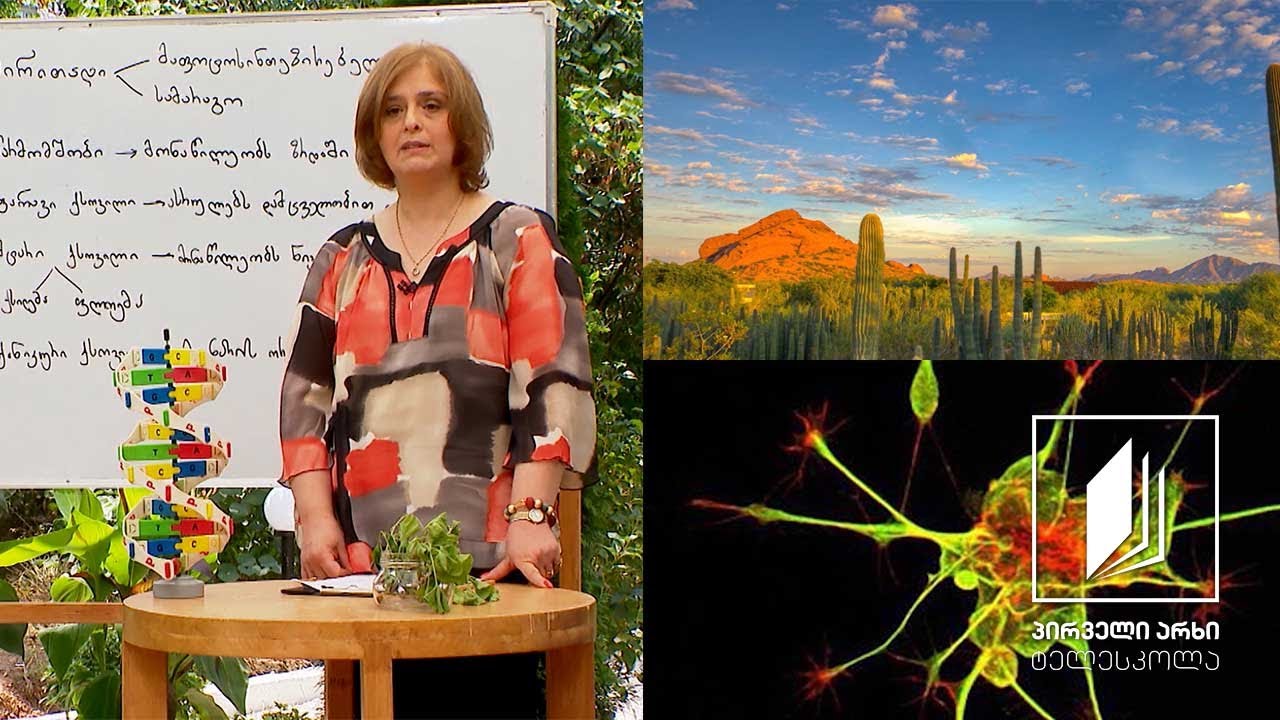 ბიოლოგია, VIII კლასი - მცენარეული და ცხოველური ქსოვილები; აგებულება და ფუნქციები #ტელესკოლა