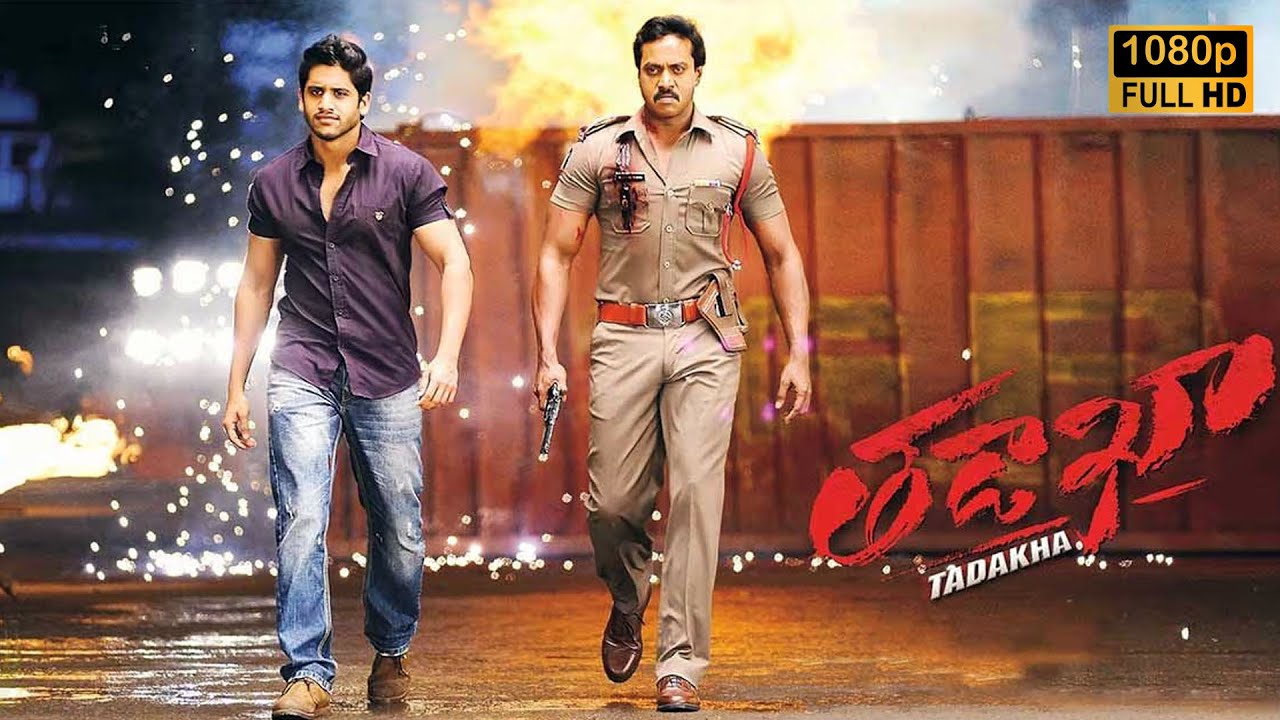 Naga Chaitanya, Sunil Telugu Full Hd Movie | Tollywood Hit Movies