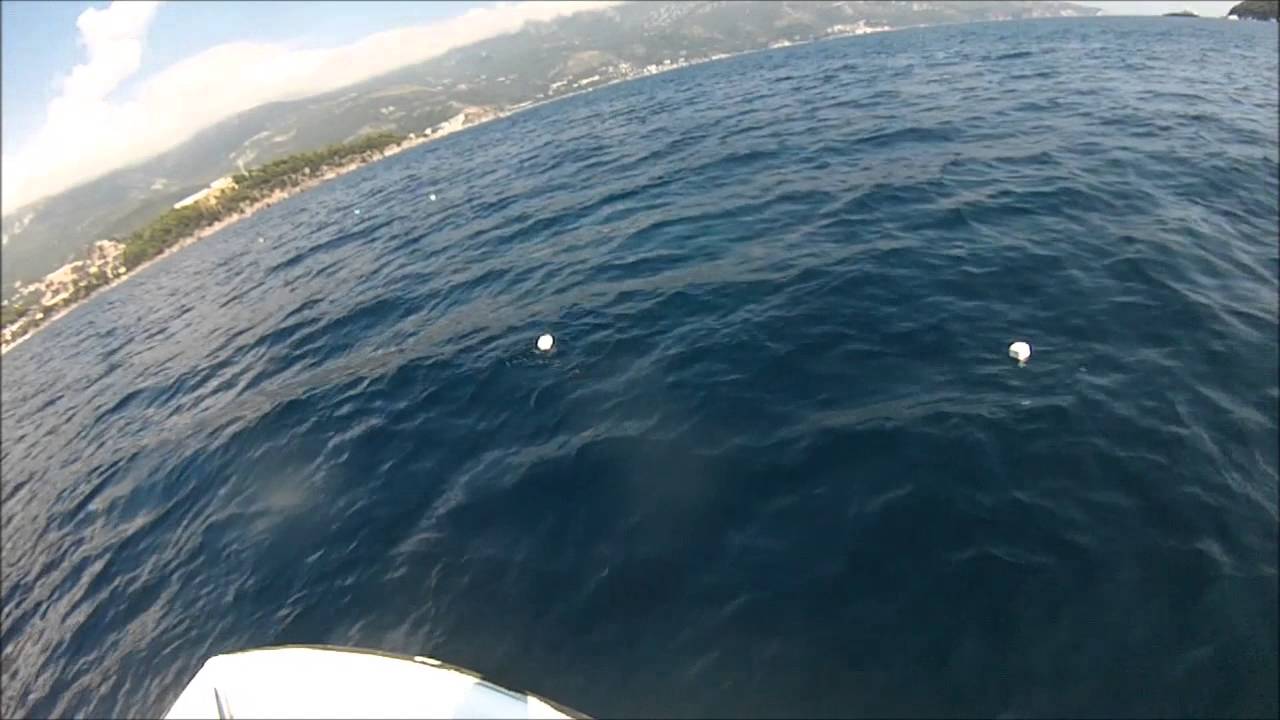 Fishing for saddled and white sea bream - traditional way!