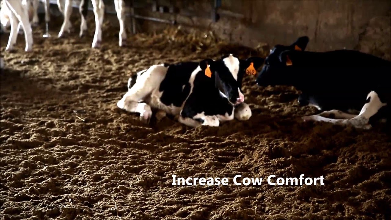 Hygienic compost for cattle diary made by Higienizing Biocell | Rota Guido