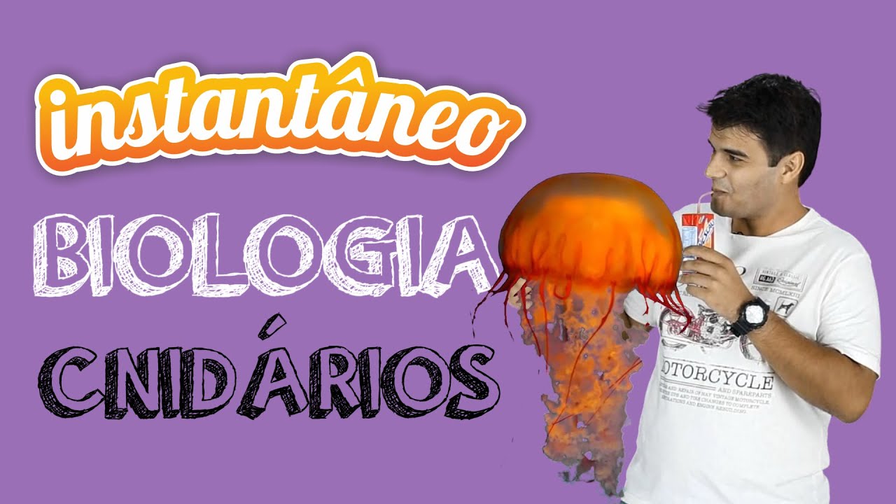 Cnidários - Biologia - Sandro Rech - Instantâneo
