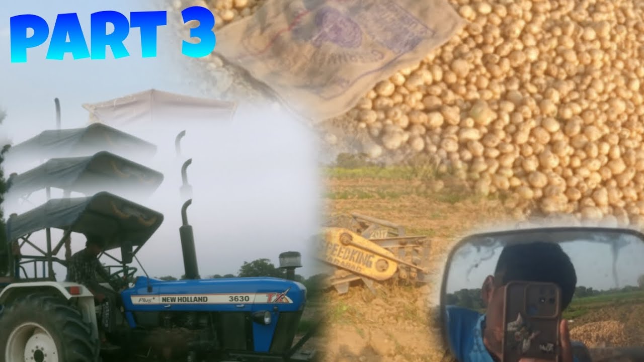 Our Potatoes Are Being Harvested Today! 🥔⛏️ | Ankush Daily Diaries