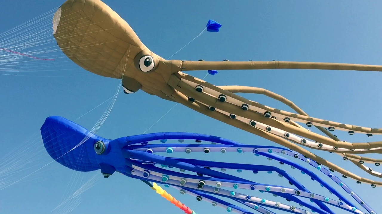 Octopus kites 65 meters
