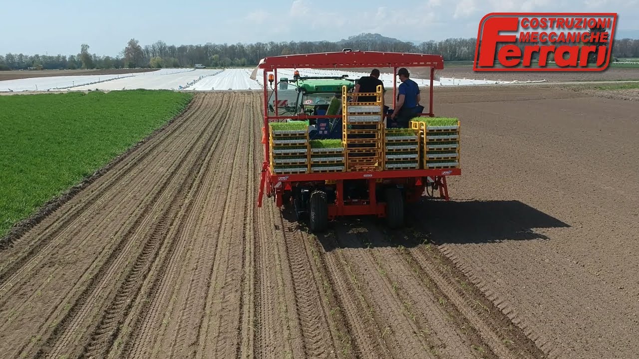 Ferrari Futura Transplanter – The automatic planter