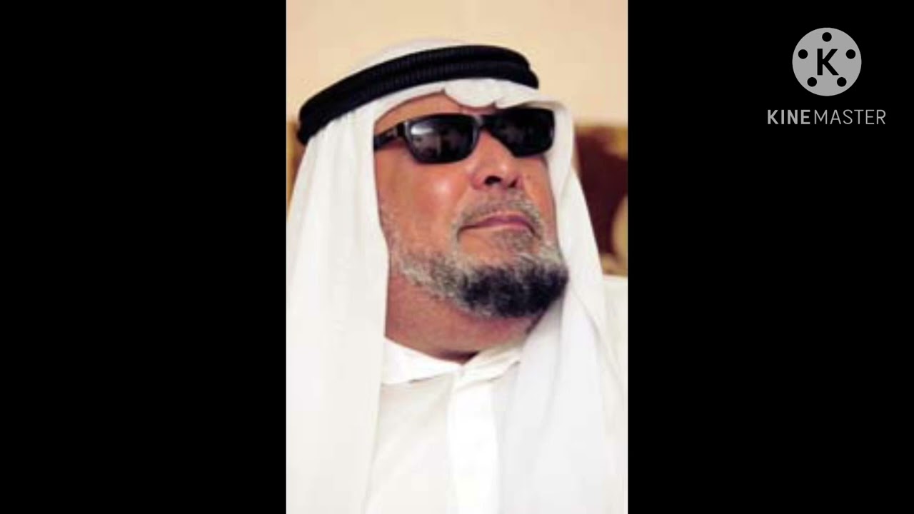 الجيب والبعير/ سلطان الشاعر