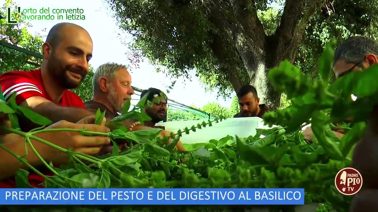 Preparazione del pesto e del basilico (L'orto del Convento 21 Ottobre 2023)