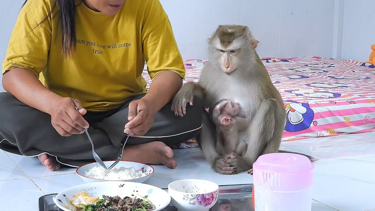 Madam Luna Requesting To Join Lunch With Mommy