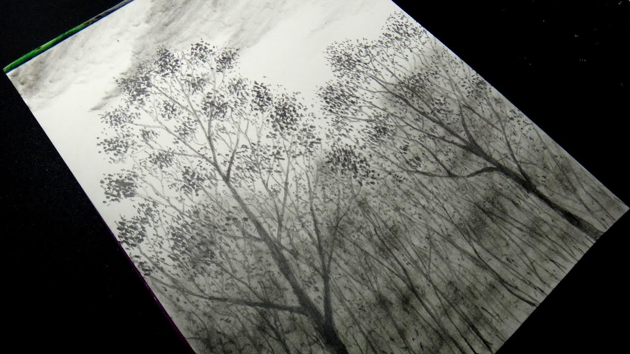 How to draw realistic jungle with dense trees