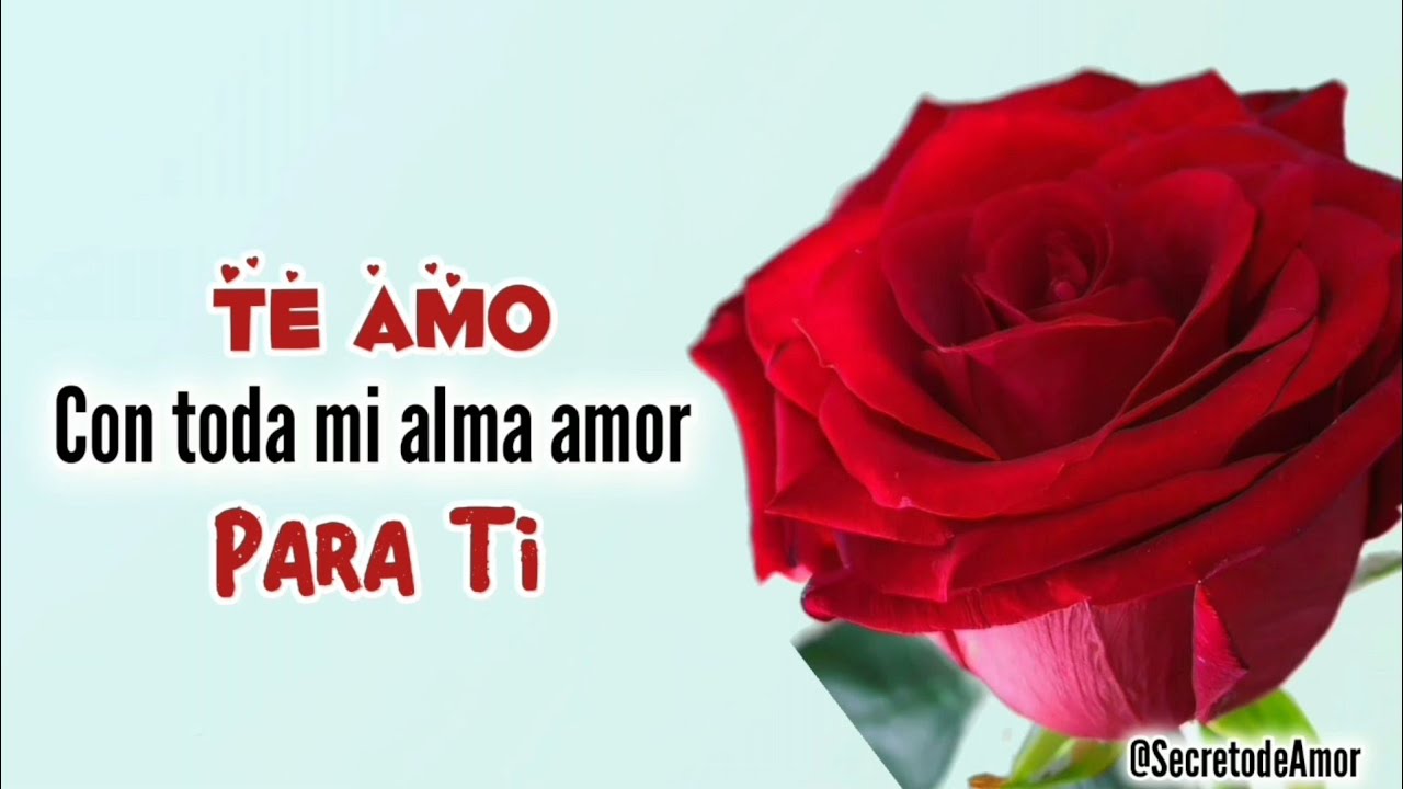 TE AMO con toda mi alma FRASES ROM&Aacute;NTICAS con v&iacute;deo de amor bonito