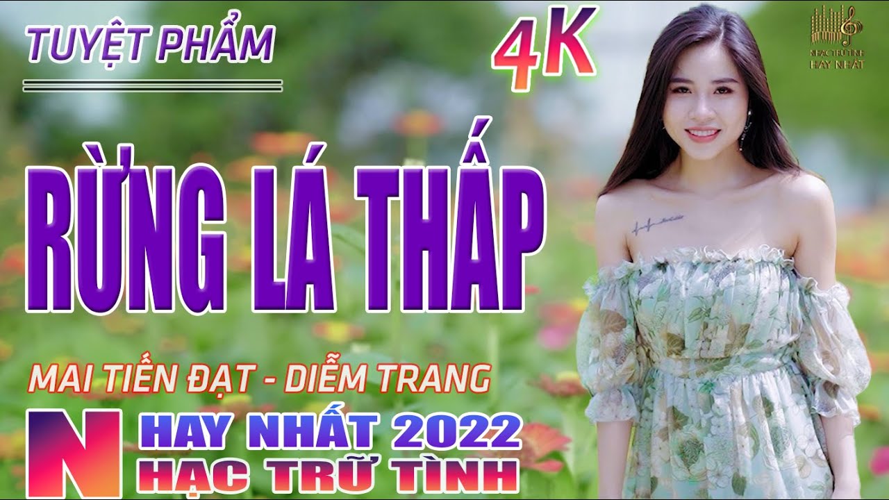 Rừng Lá Thấp, Thành Phố Buồn ♥ Nhạc Trữ Tình Hay Nhất 2022 - Lk Nhạc Vàng Bolero Nhạc Vàng Xưa