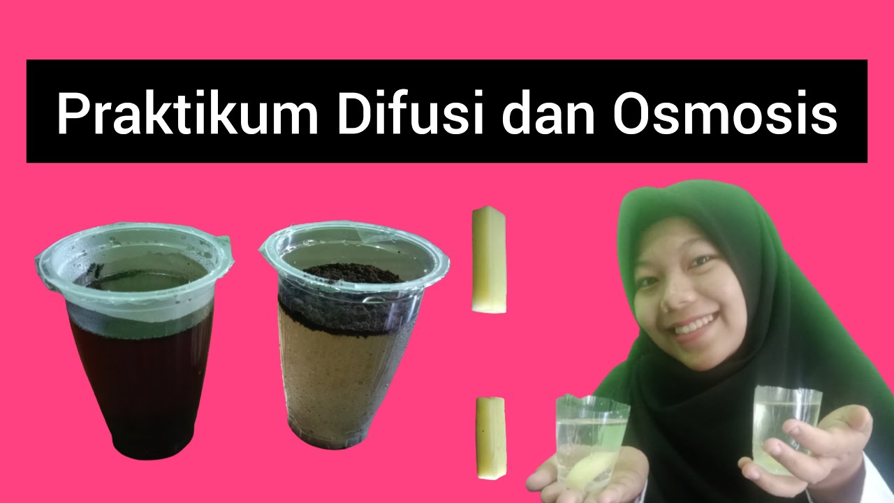 PRAKTIKUM BIOLOGI DIFUSI DAN OSMOSIS