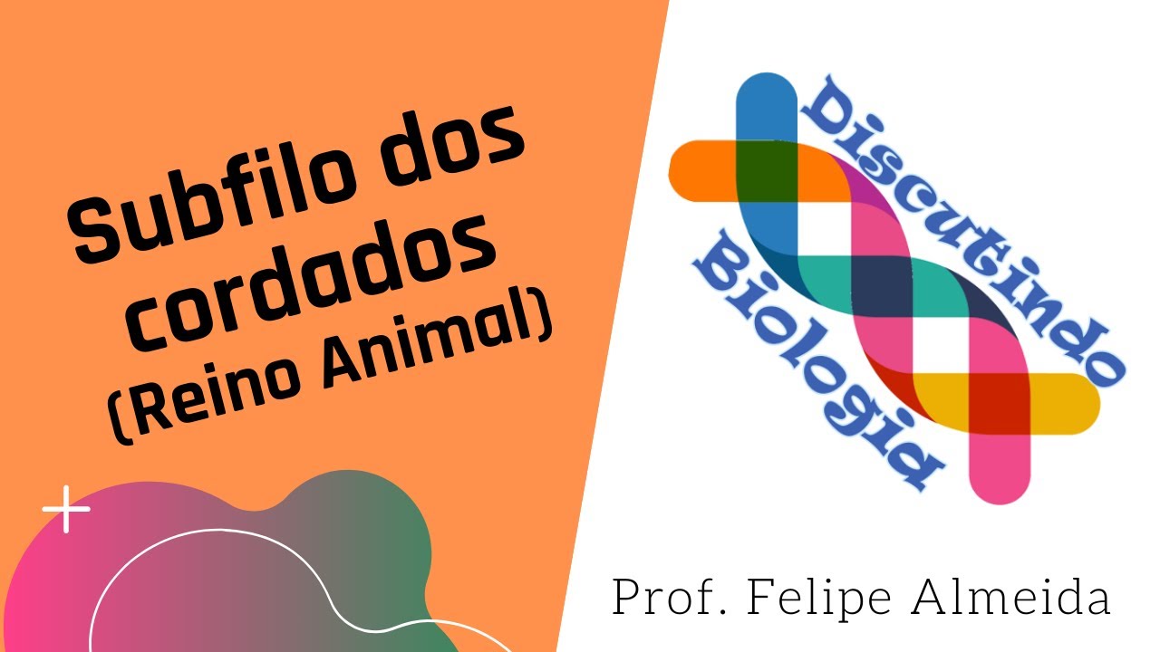 Aula de Subfilo dos CORDADOS (Urochordata, Cephalochordata e Craniata)