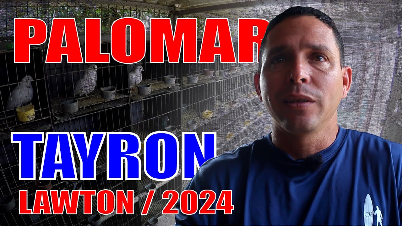 PALOMAR de CONQUISTA de TAYRON EN LAWTON