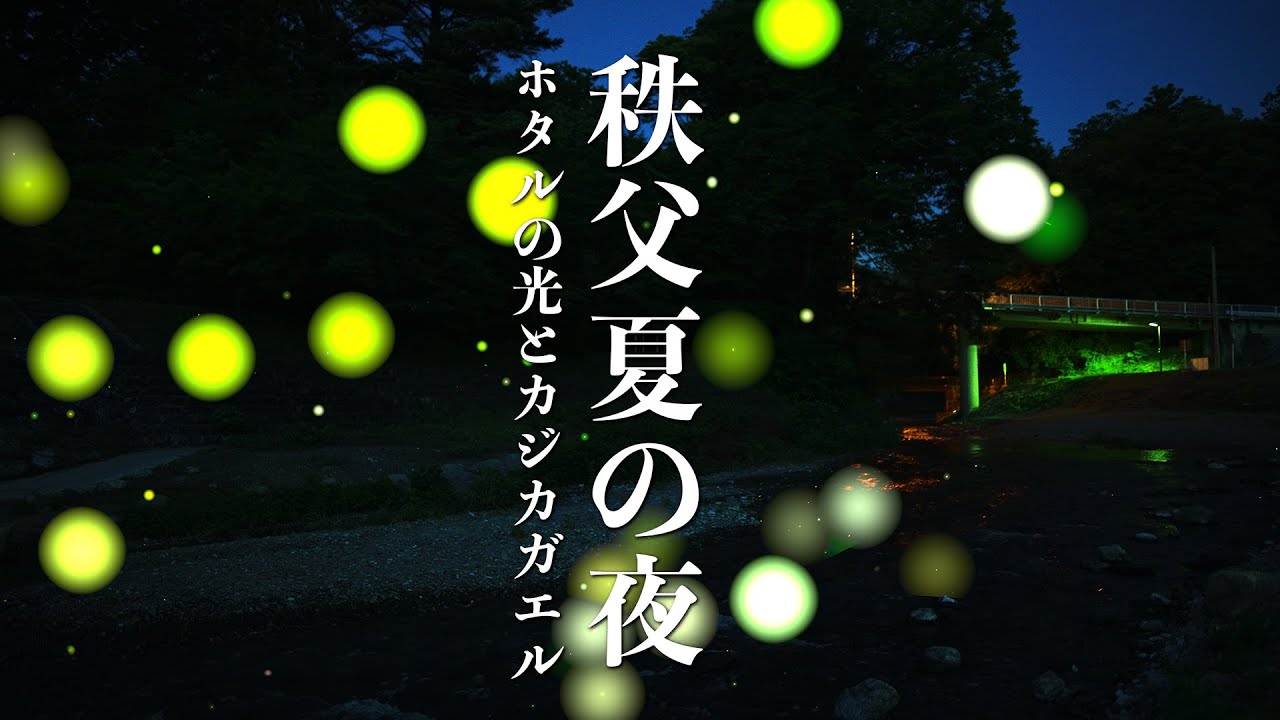 カジカガエルの鳴き声 蛍の光 | 埼玉県秩父 | Crying frog - SUMMER Night AMBIENT SOUND