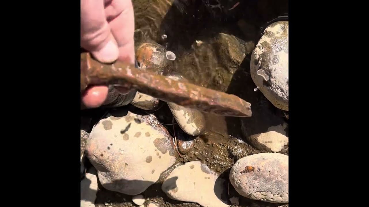 Testing Dredge tailings