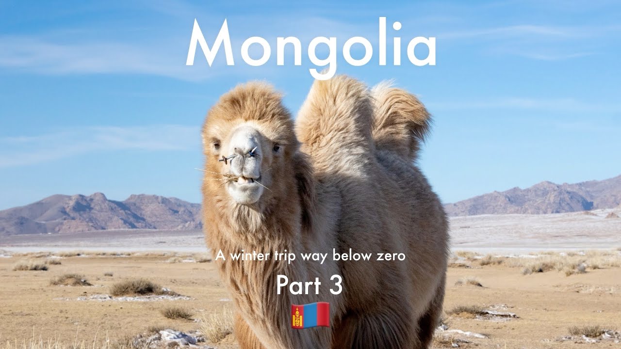 Mongolia Winter Trip 2023 | Part 3