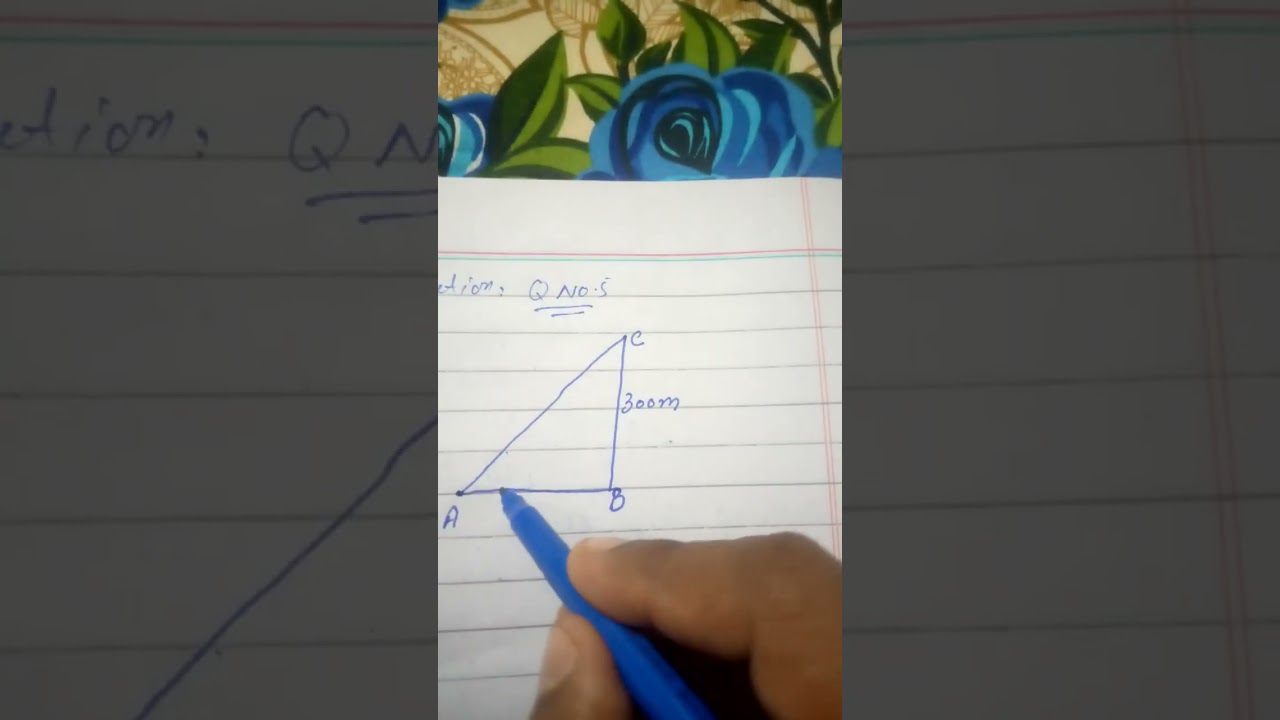 9th class Maths,Unit 6 Topic: Angle of elevation and angle of Depression, Review Ex. Q 5.6