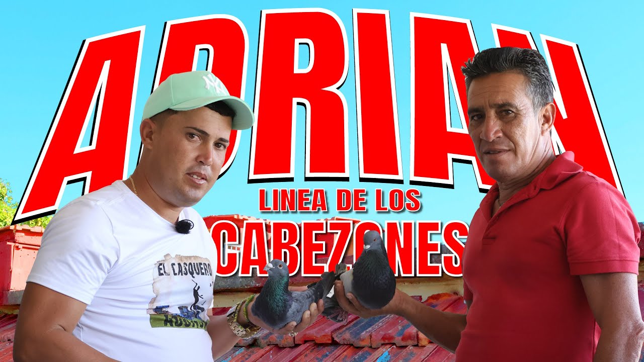 PALOMAS DE ADRIAN. LA LINEA de los CABEZONES