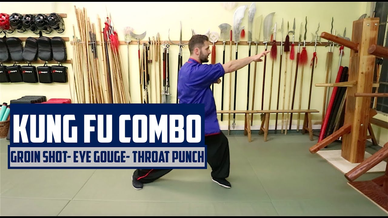 Kung Fu Combo - Attacking the Groin - Eyes - Throat
