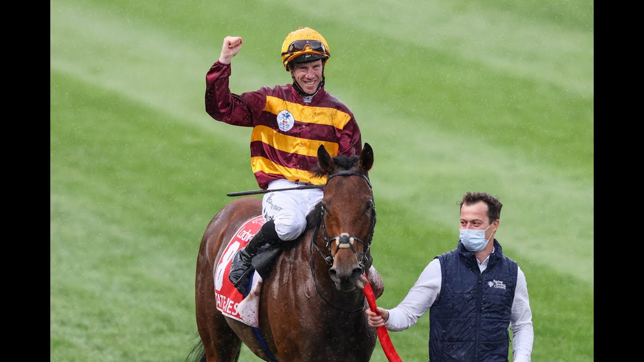 State Of Rest - Cox Plate 2021