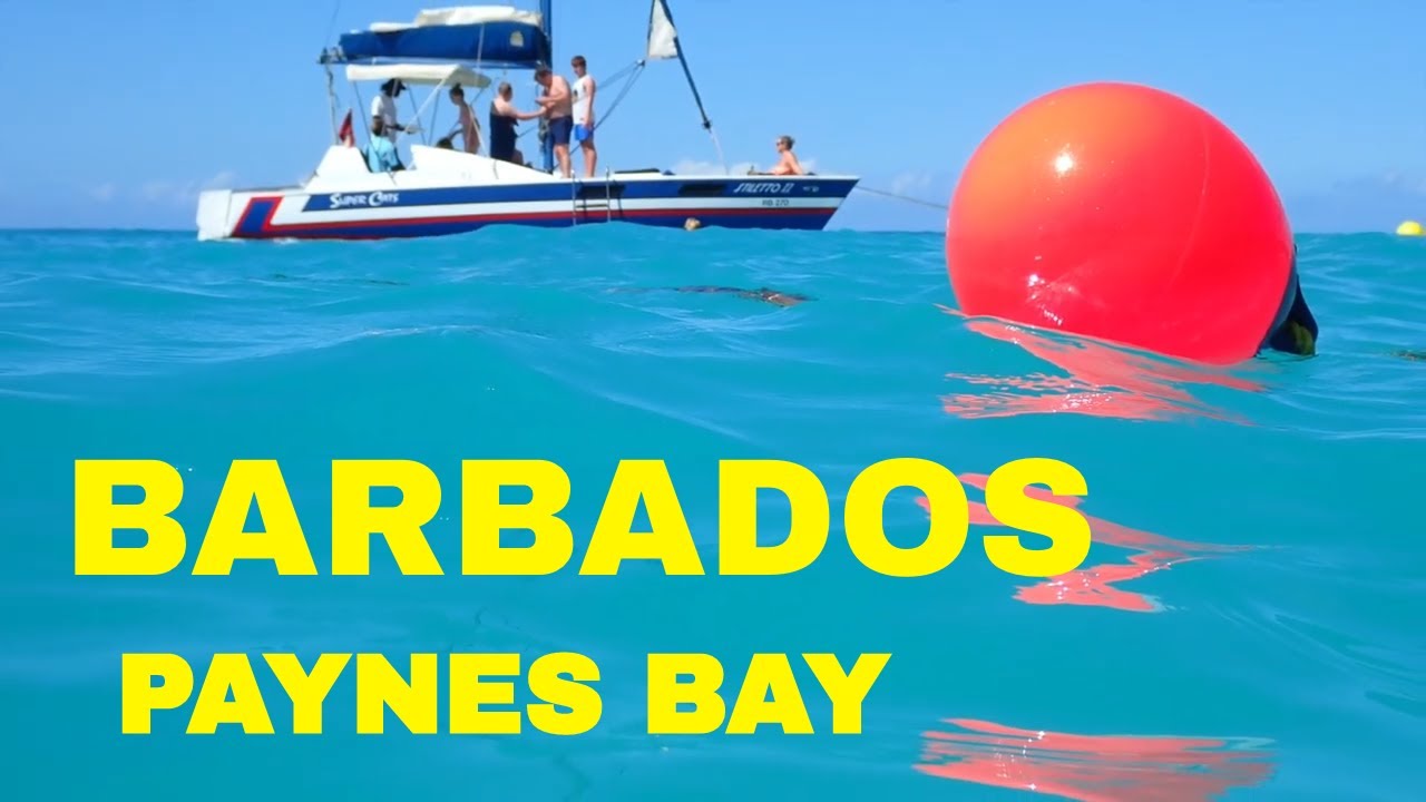 BARBADOS,  PAYNES BAY BEACH:  WALKING TOUR VLOG
