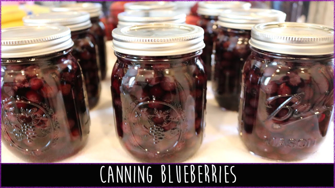 CANNING BLUEBERRIES | WELCOME TO THE DEN |